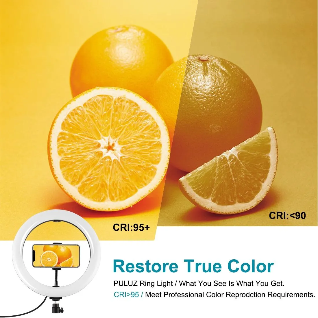 10.2" Curved LED Ring Light with Dual-Colour Temperature | Remote & Tripod